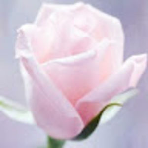 Meet your Posher, Melisa